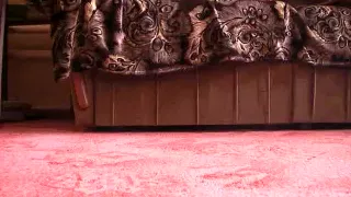 Incredible Homemade movie with Stockings, Hairy scenes