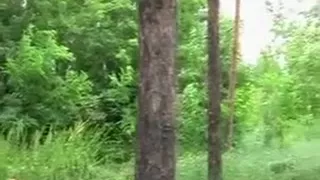 Amazing Amateur video with Blowjob, Brunette scenes