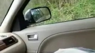 Angel picked up on the ride home