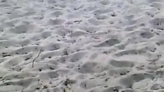 Valuable day at the beach