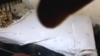 Our very 1st home movie was astonishing