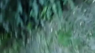 Pounding ebon wench outdoors in the park