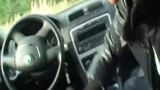 Appealing dark brown engulfing in the car