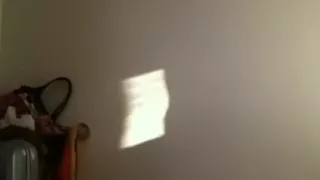 Dark cutie hotty and her booty