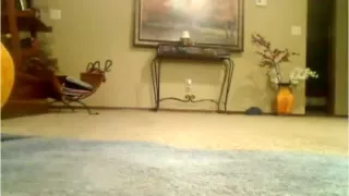 Flogging my clitty and moaninig