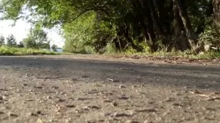 hot girl fucks everywhere