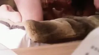 Lucy and Marc fucking at home