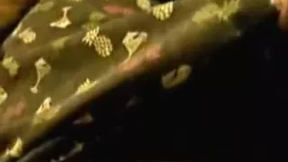 My black dick gets gentle treatment