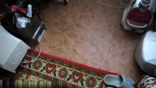 Naughty babe gets banged by her man