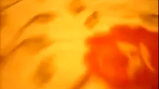 Pretty brunette milf wife suck cock then a great anal fuck session in home