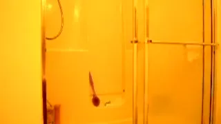 Tempting blonde having fun in shower