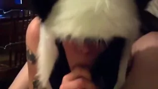 American girl in panda outfit sucks cock and swallows