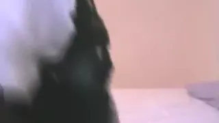 Big booty brunette rides her bf and he just pulls out in time !!!