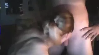 Blindfolded brunette has oral, missionary and doggystyle sex in the bedroom.