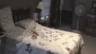 blonde girl sucks her boyfriend  hard and gets her pussy fucked