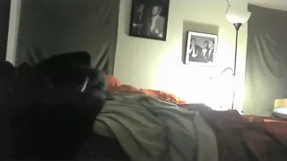 Blonde sucks her bf's cock, gets missionary fucked and has doggystyle sex.