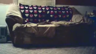 dark haired girl gives her boyfriend  a blowjob on the sofa