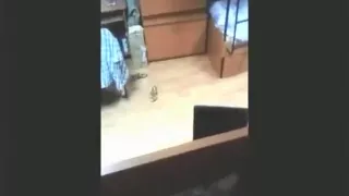 Fat girl with big tits rubs her trimmed pussy on her bed, tastes her juice and moans