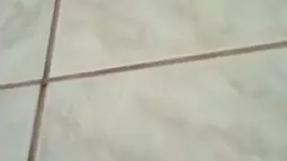 girl starts the day by sucking off her boyfriend 