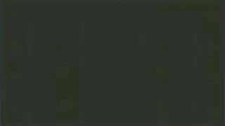 Hot brunette has missionary, doggystyle and oral sex with tit cumshot.