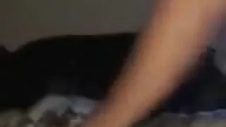 hot girl sucks her boyfriend  hard and goes for a ride on top