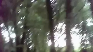 latina girl blows and doggystyle fucks her boyfriend  in a tent in the forest