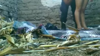 Latina slut has a threesome in a dump outside