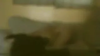 Mature brunette has oral, missionary and doggystyle sex with hair pulling.