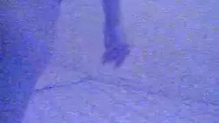 Moaning brunette gets doggystyle fucked on the bed