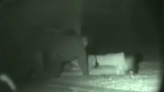 Party couple doens't give a shit, when some guys bug them fucking in the park.