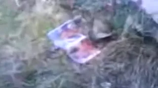 Russian girl has oral and doggystyle sex in the park