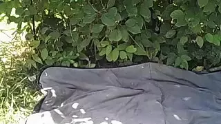 galloger secret clip 07/04/2015 from chaturbate