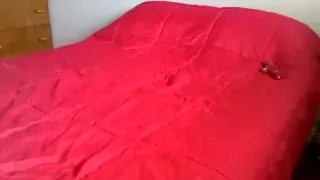 Chunky blond sucks, and copulates a hard dick.