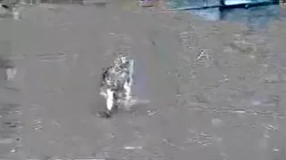 Unshaved twat acquires splattered with new hawt cum.