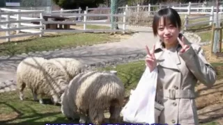 the mixi stock price was slumped in a pont of time 