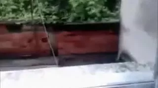 Sexy a-hole in pants getting pumped pov doggy