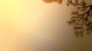 Servicing my corporalist the way that guy can't live without