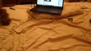 Twerking that pawg arse