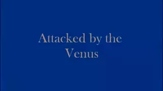 Attacked by the Venus
