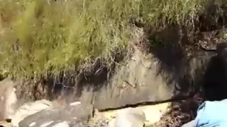 schüchterner Beachboy und älter