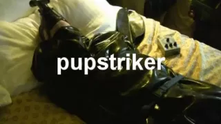 Rubber Puppy at MIR - Part two