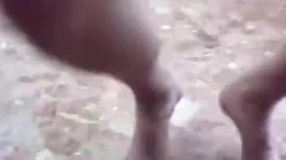 Ein schmerzhafter Morgen Teil zwei