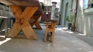 Morning in a Guest Abode in Avignon III