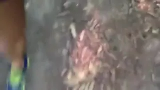 After a trail run in the woods playing in my adidas