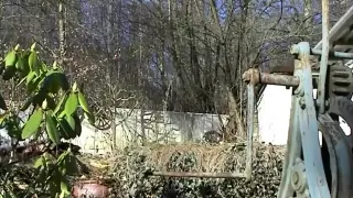 soc in the garden - obese bulky jerking outdoors