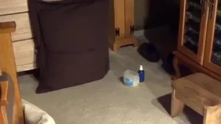 masturbating in coat, tie, tnt socks