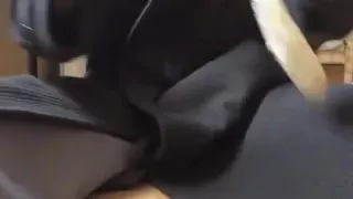 Handschuhe anziehen, Mantel anziehen und spielen