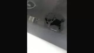 Barebacked durch ein Gloryhole in der Nähe der Kirche.