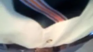 School uniform darksome gray trousers