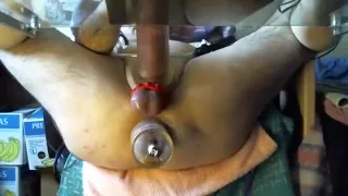 Gepumpter Schwanz und Hintern